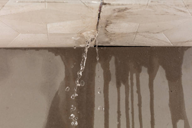 Professional Water Damage Repair technician working in Lacarne, OH